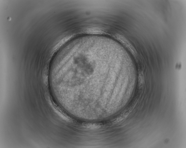 X0000097290533200803071734