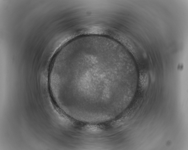 X0000097290534200803071734
