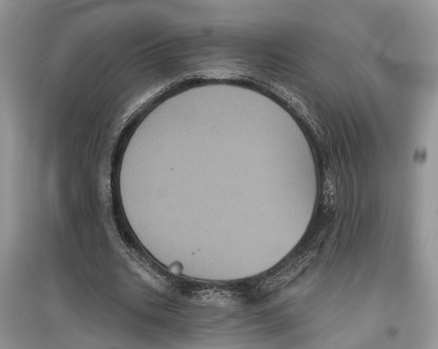 X0000097290535200803071734