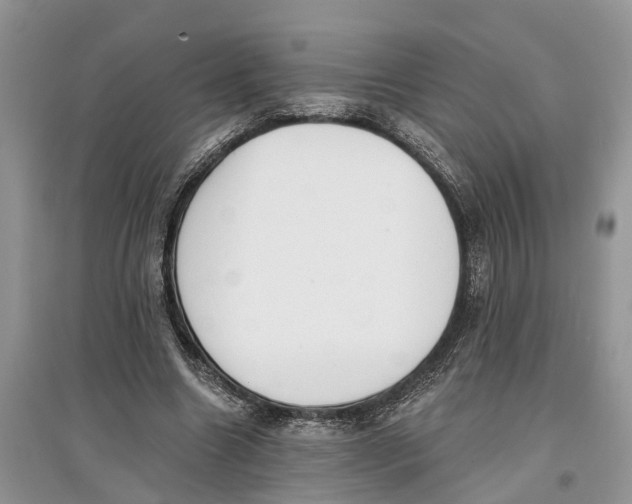 X0000097290538200803071734