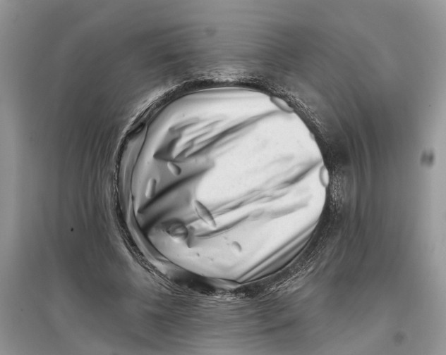 X0000097290540200803071734