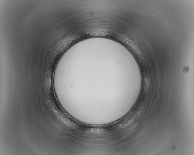 X0000097290541200803071734