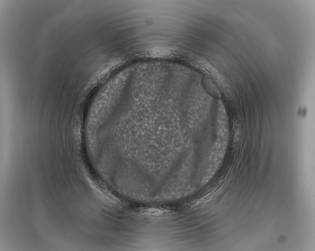 X0000097290542200803071734