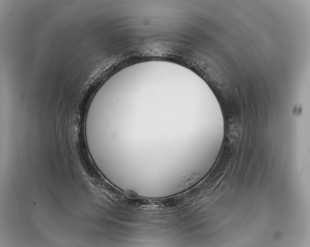 X0000097290544200803071734