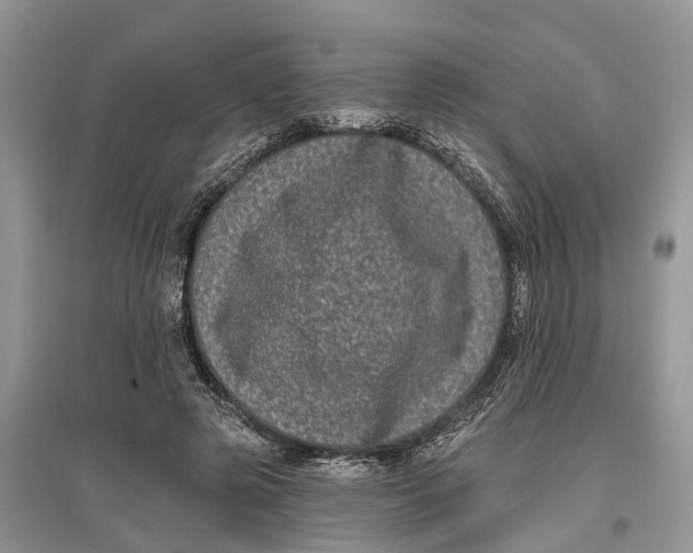 X0000097290545200803071734