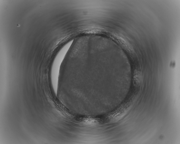 X0000097290547200803071734