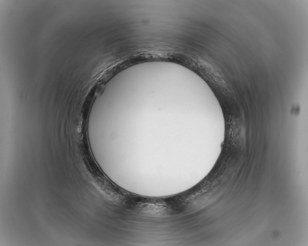 X0000097290548200803071734
