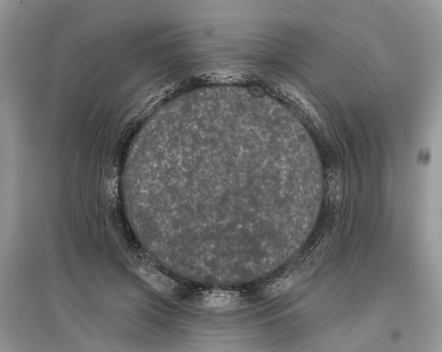 X0000097290549200803071734