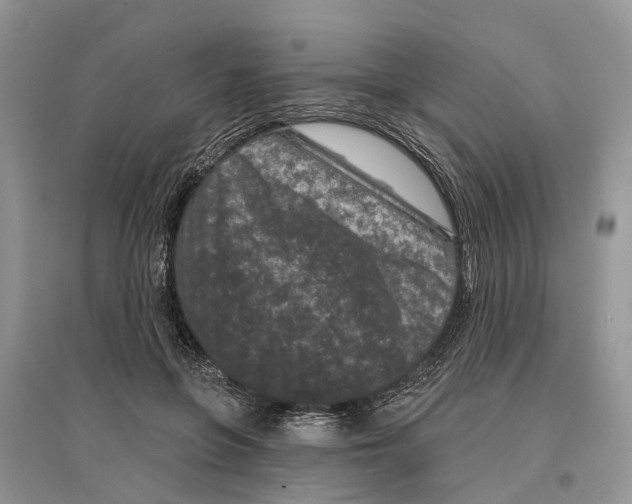 X0000097290551200803071734