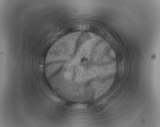 X0000097290553200803071734