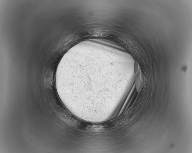 X0000097290554200803071734