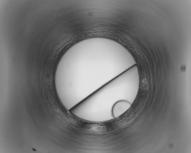 X0000097290555200803071734
