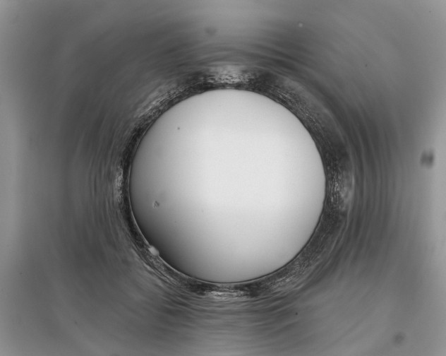 X0000097290556200803071734