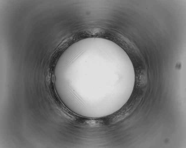 X0000097290558200803071734
