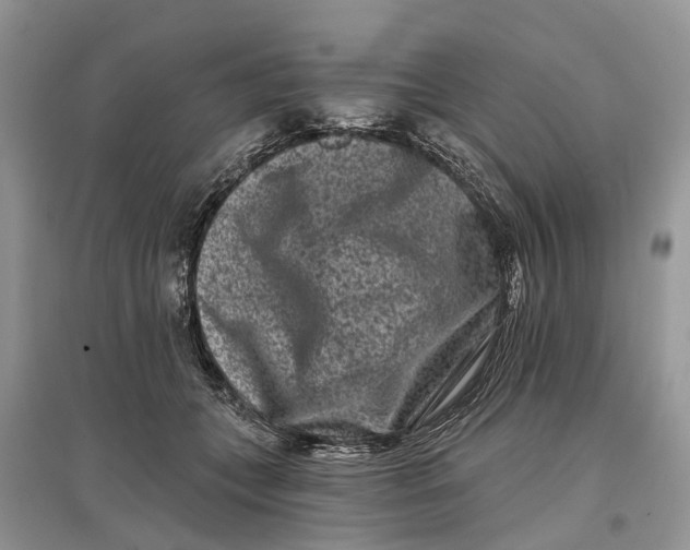 X0000097290559200803071734