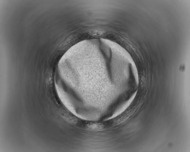X0000097290561200803071734