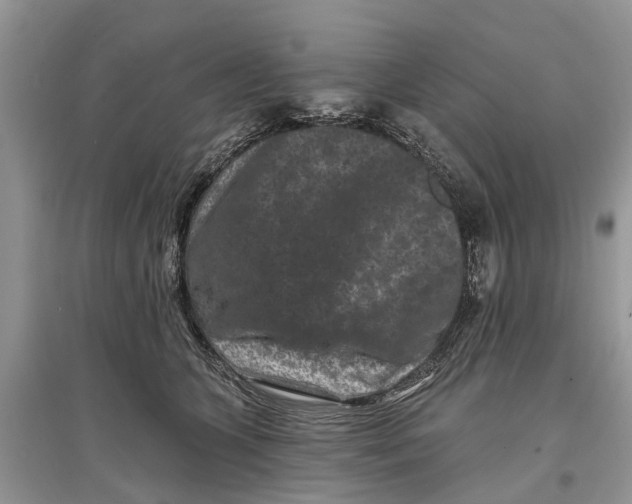 X0000097290563200803071734