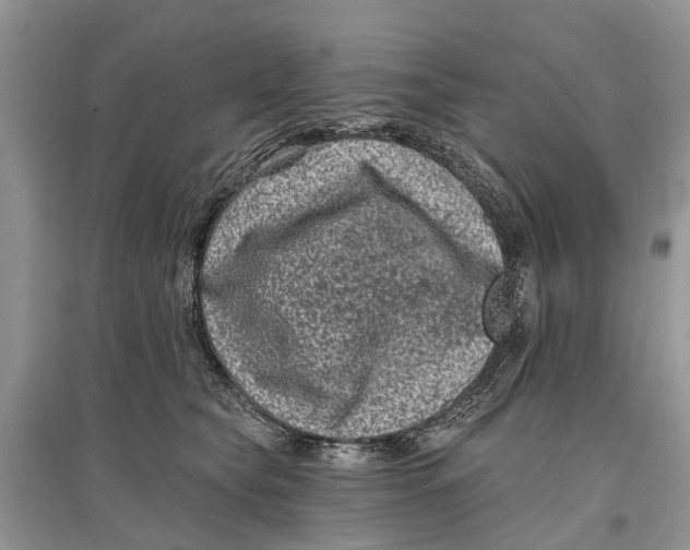 X0000097290565200803071734