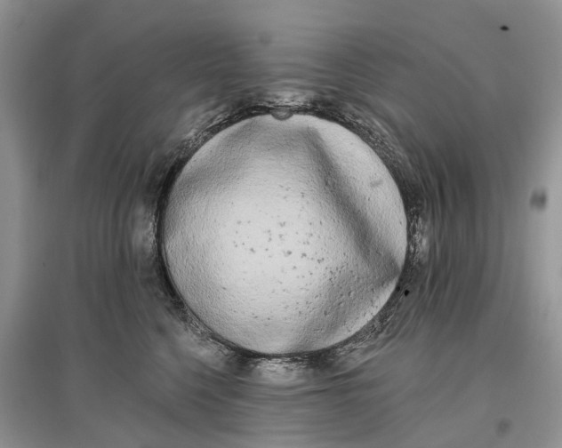 X0000097290568200803071734