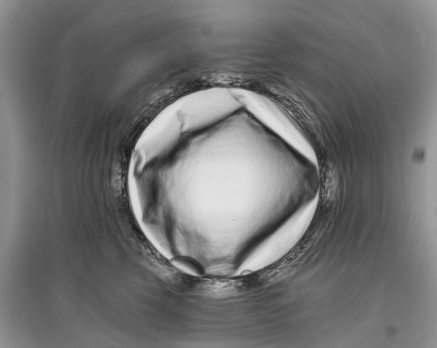 X0000097290569200803071734