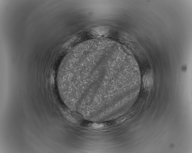X0000097290570200803071734