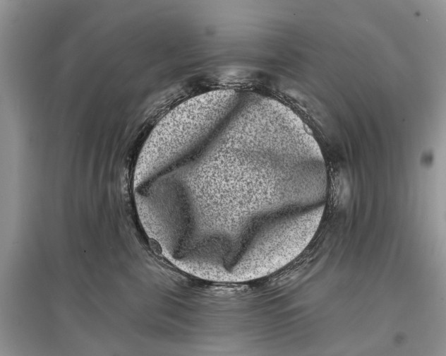 X0000097290571200803071734