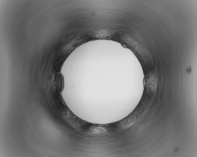 X0000097290572200803071734