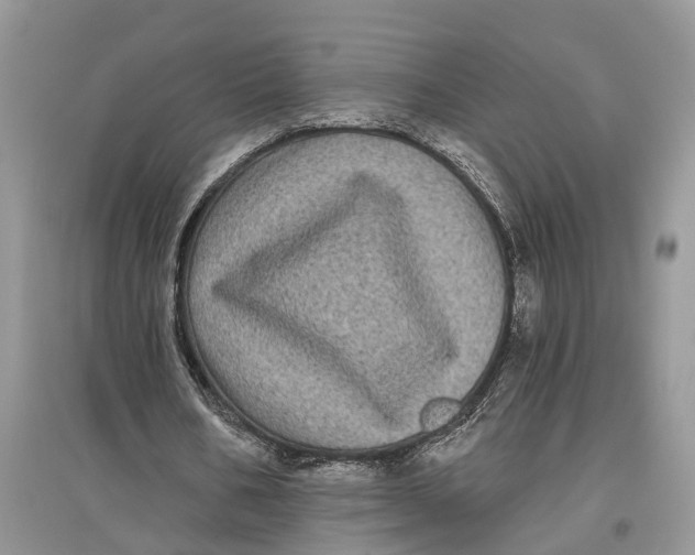 X0000097290578200803071734