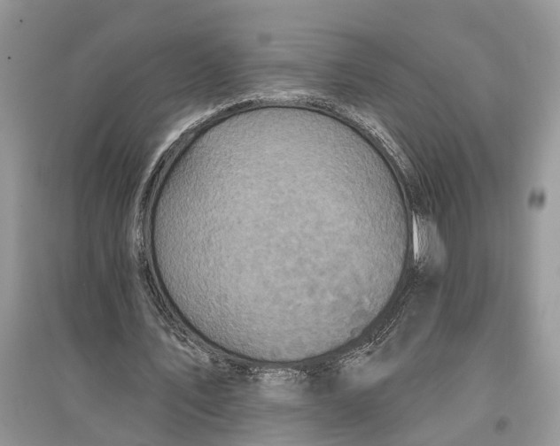 X0000097290579200803071734