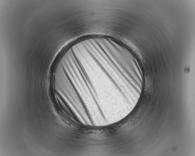 X0000097290580200803071734
