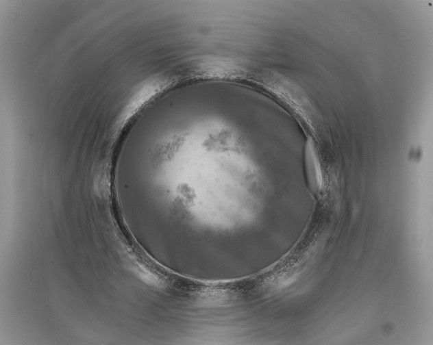 X0000097290581200803071734