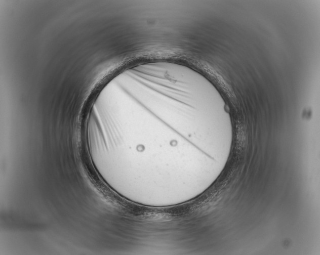 X0000097290582200803071734