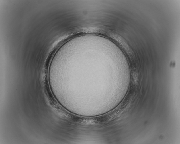 X0000097290583200803071733