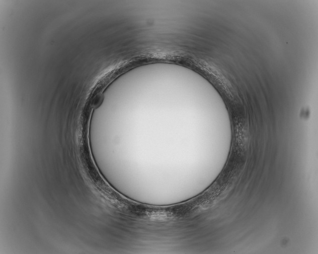 X0000097290587200803071733