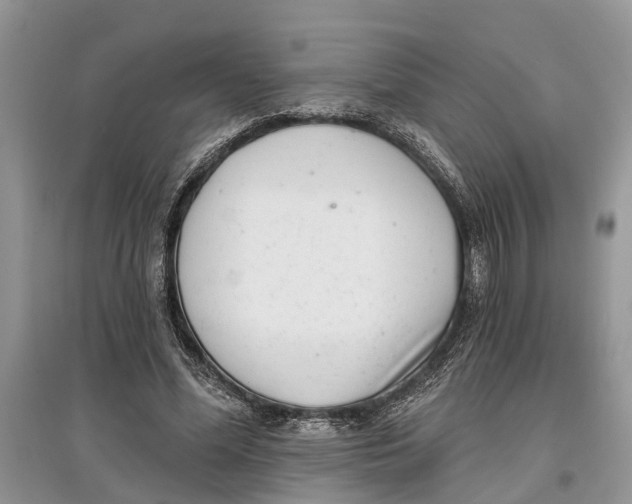 X0000097290588200803071733