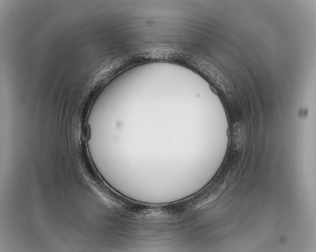 X0000097290589200803071733