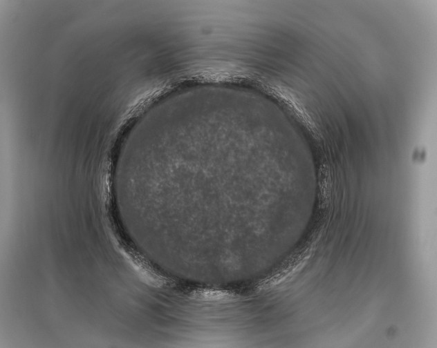X0000097290590200803071733