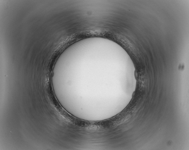 X0000097290593200803071733