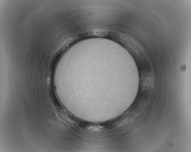 X0000097290595200803071733