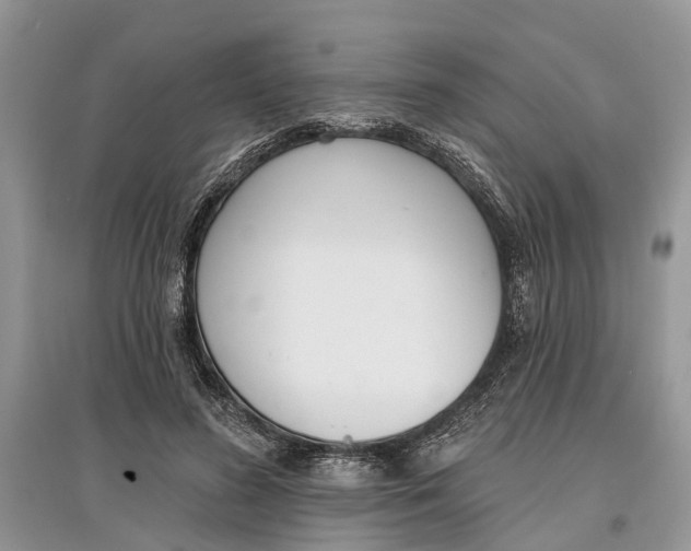 X0000097290596200803071733
