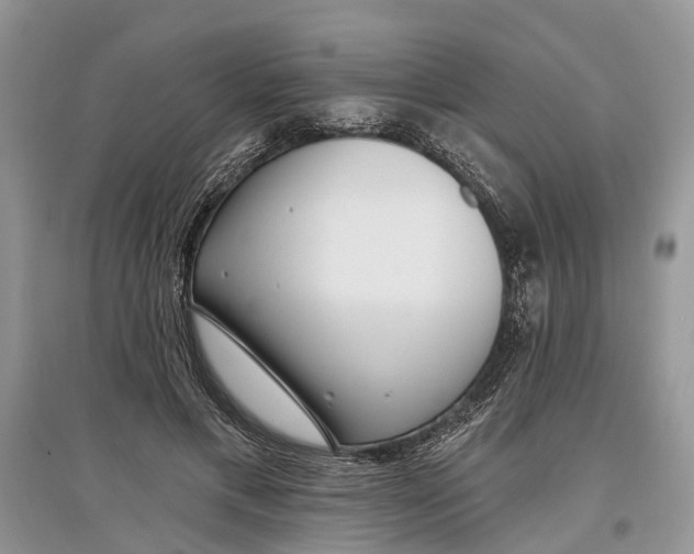 X0000097290597200803071733