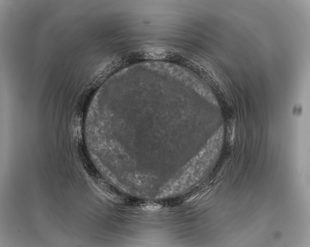 X0000097290598200803071733