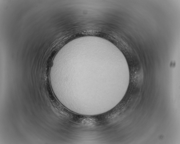 X0000097290599200803071733