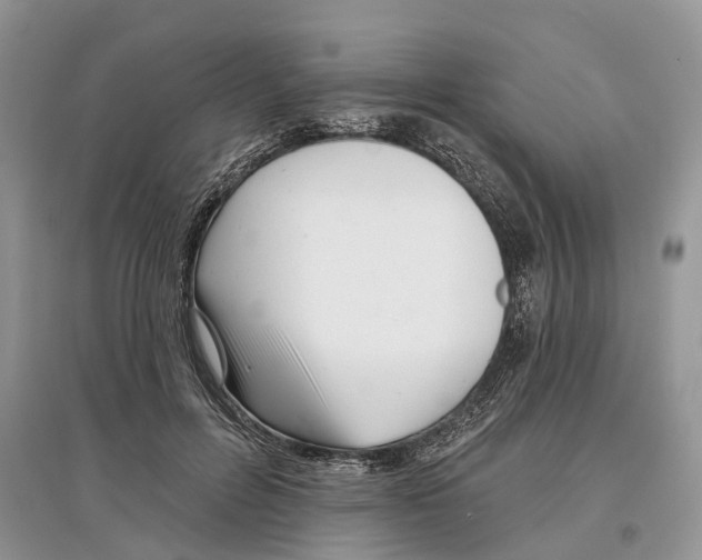 X0000097290600200803071733
