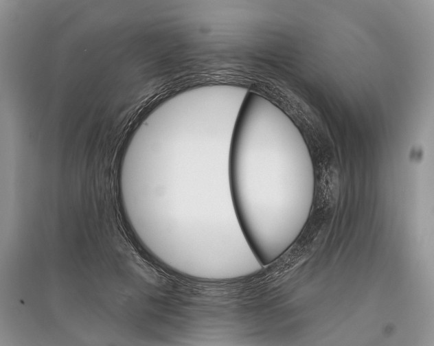 X0000097290601200803071733