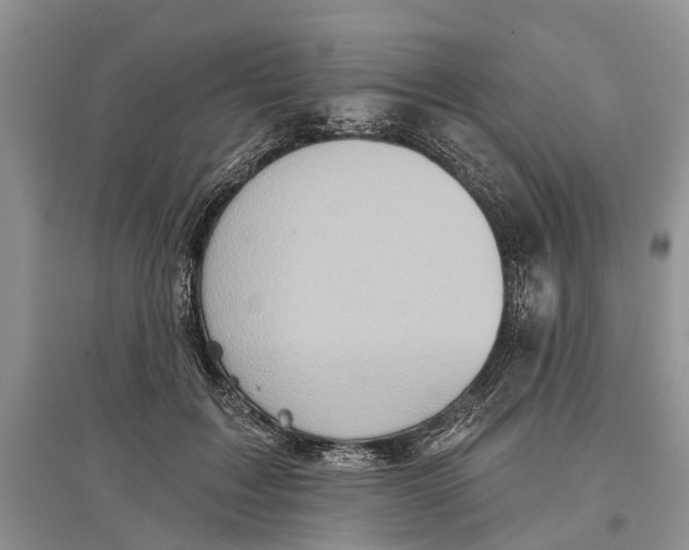 X0000097290603200803071733