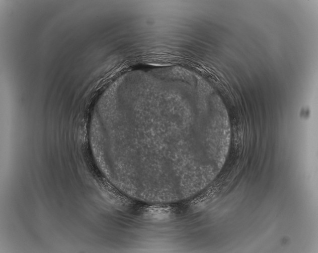 X0000097290606200803071733