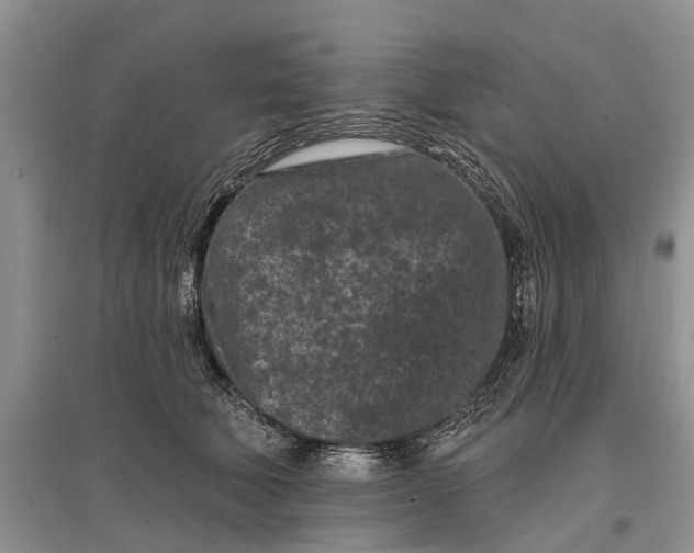 X0000097290610200803071733