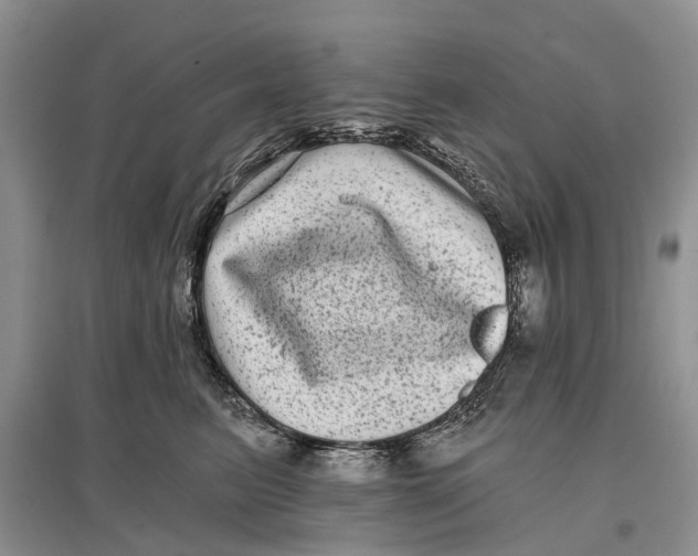 X0000097290615200803071733