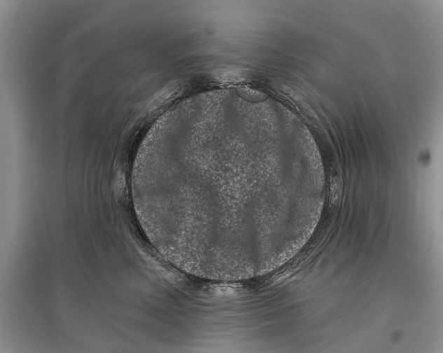 X0000097290618200803071733